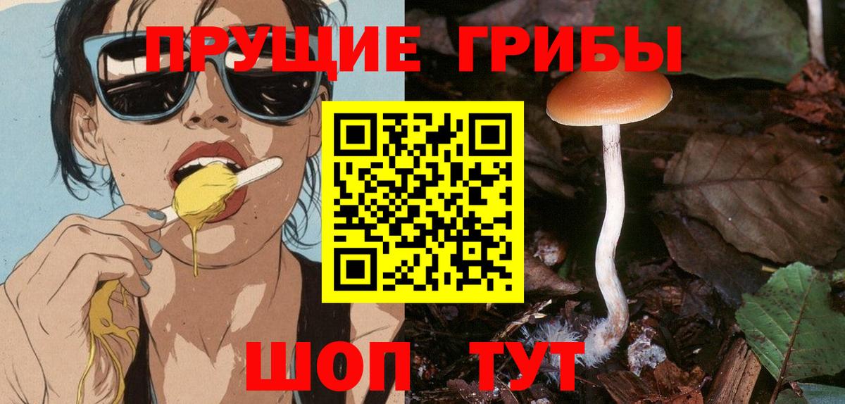 Галлюциногенные грибы прущие грибы  Галлюциногенные грибы мицелий  наркошоп  Вход с VPN  Тара 